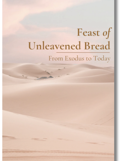 Feast of Unleavened Bread Devotional PDF | Christian Biblical Feast Guide (7-Day Study)